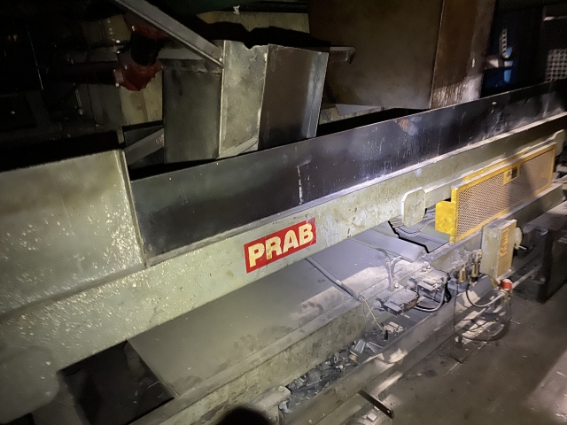 PRAB Shaker conveyor